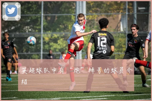 英超球队中有“炮”绰号的球员介绍